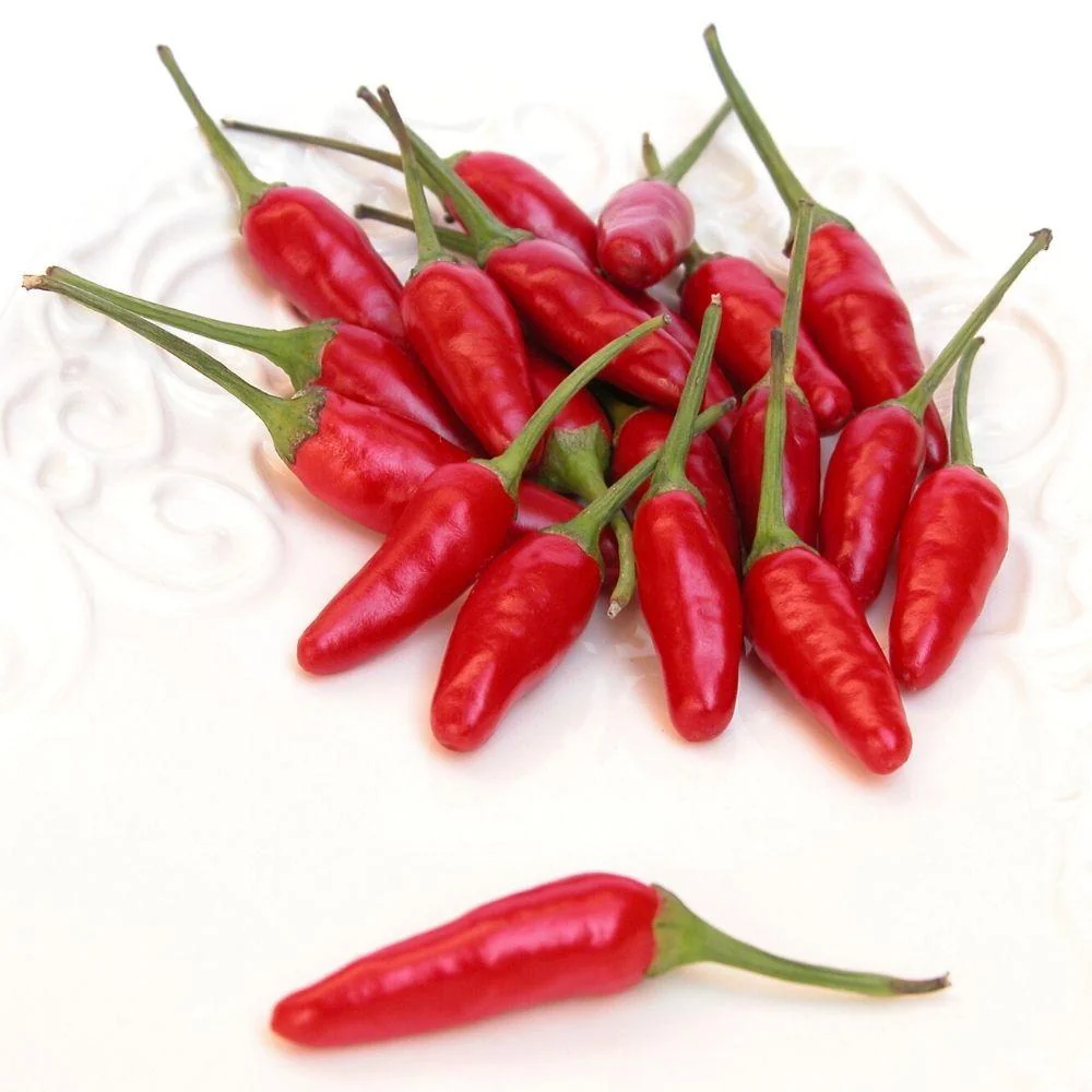 Calabrian Chili Peppers - Jar - Image 2
